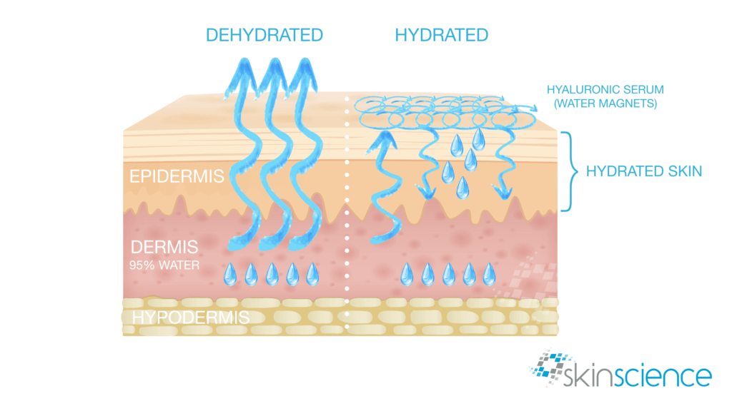 What Water Does for the Skin