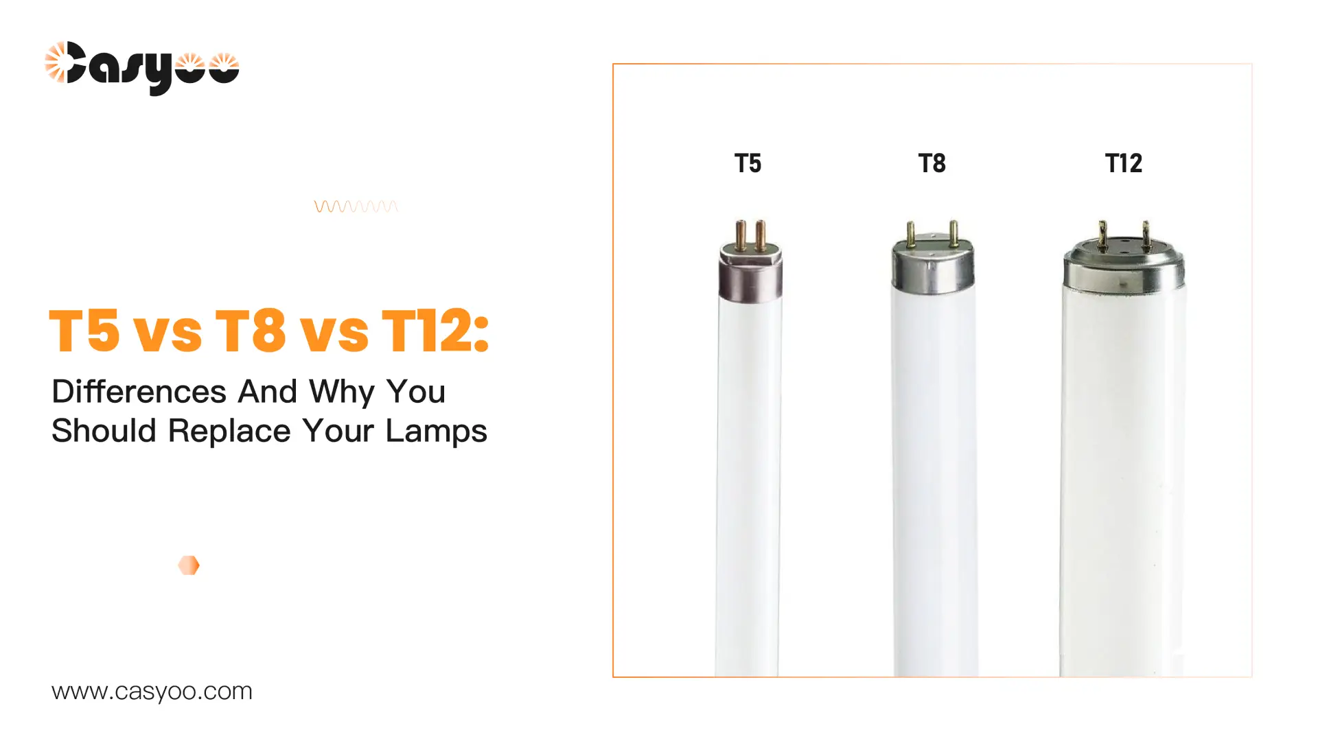 Fluorescent T5 vs T8