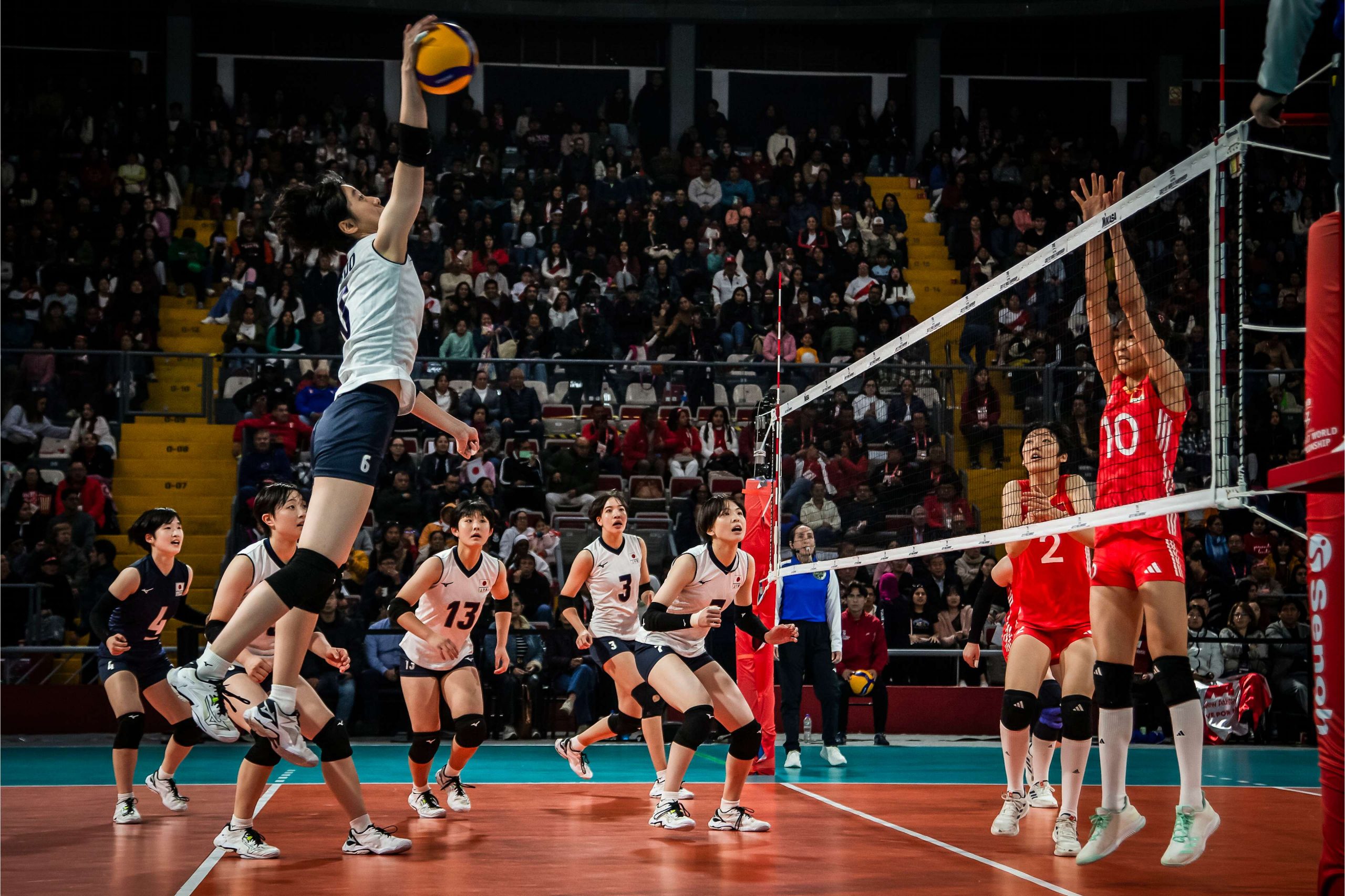 【2026年最前線】世界が震えた「新・日本スタイル」——進化する女子バレーボールが切り拓く衝撃の未来と激動の現在地