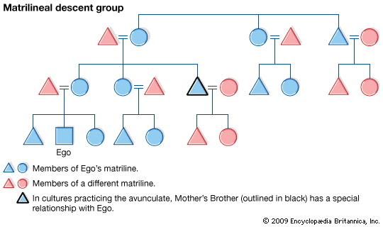Matrilineal Society Definition Ap World History