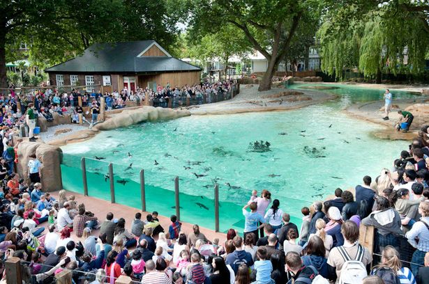 What's the Best Zoo in the Uk