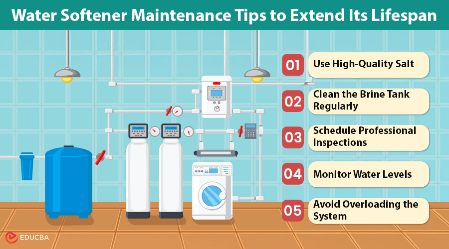 How Often Should a Water Softener Be Serviced