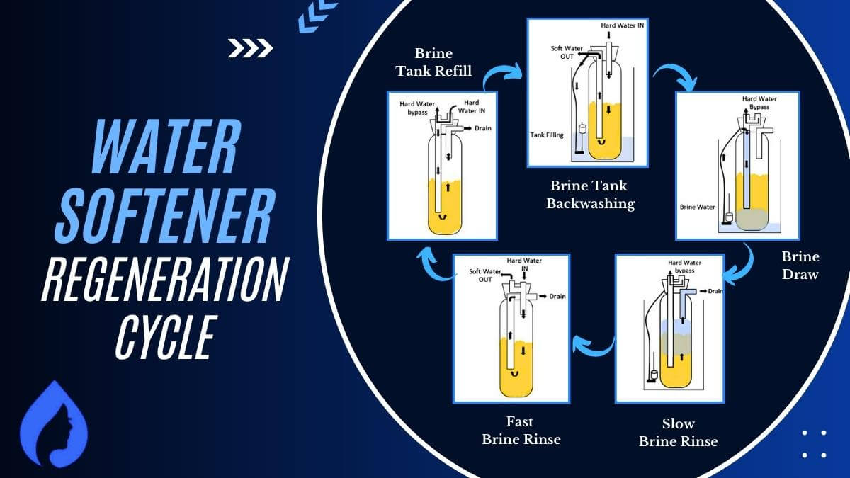 How Long for Water Softener to Regenerate