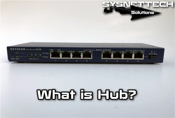 Hub人気メニュー徹底解剖！ハッピーアワーから隠れ名物まで