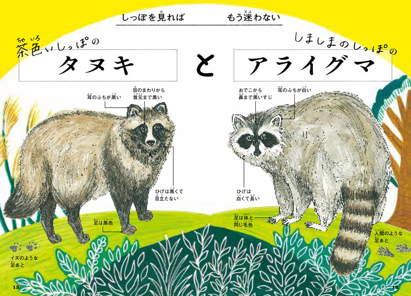 【2026年最新】「見分けがつかない」は進化の罠？そっくりすぎる野生動物たちと最新ゲノム分析が明かした驚愕の真実