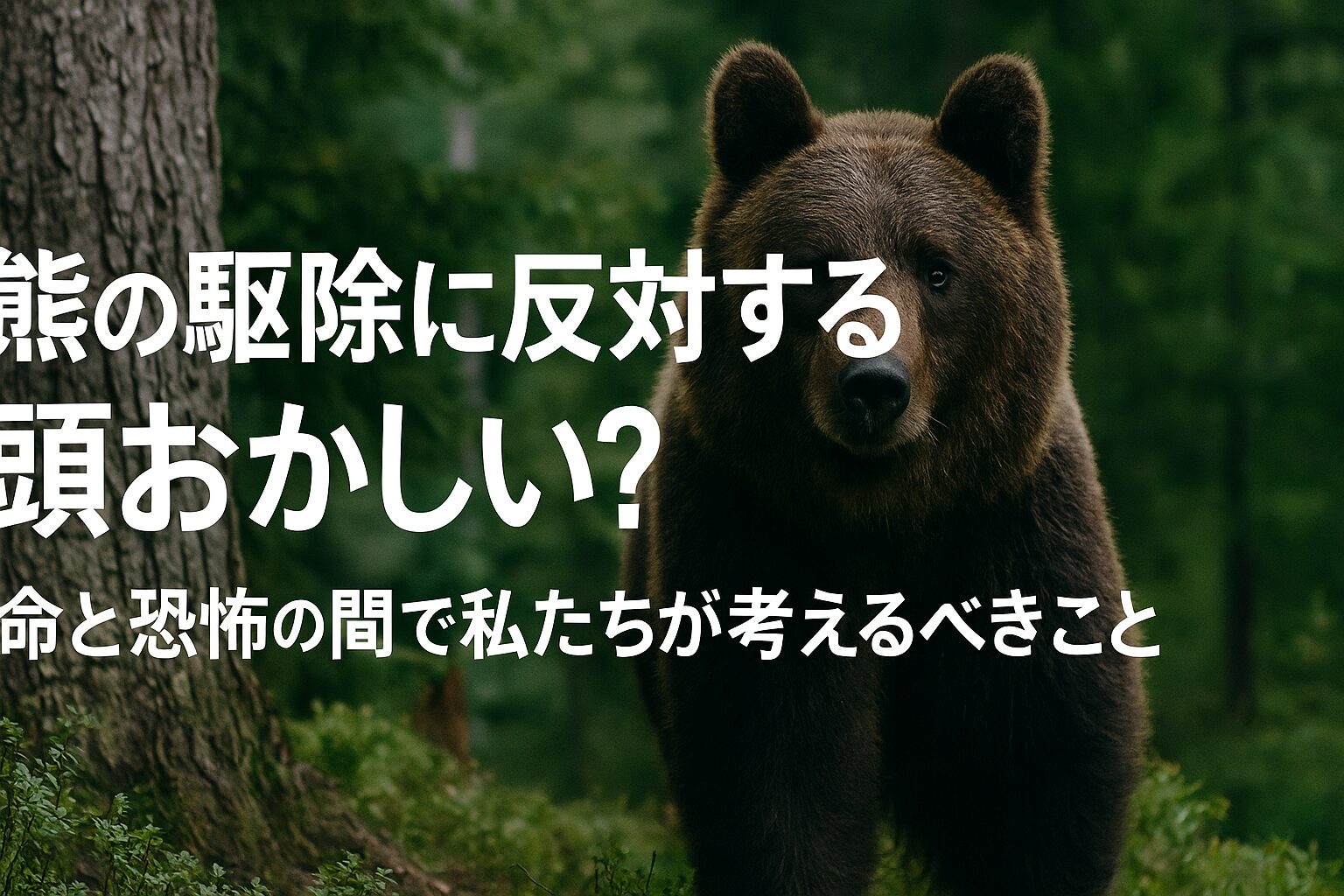 熊駆除反対はなぜ相次ぐ？役所を麻痺させる抗議の真相と共存の限界