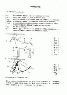 【プロフィール】 乗馬 ライセンス 4 級 ファン必見の最新情報 #753