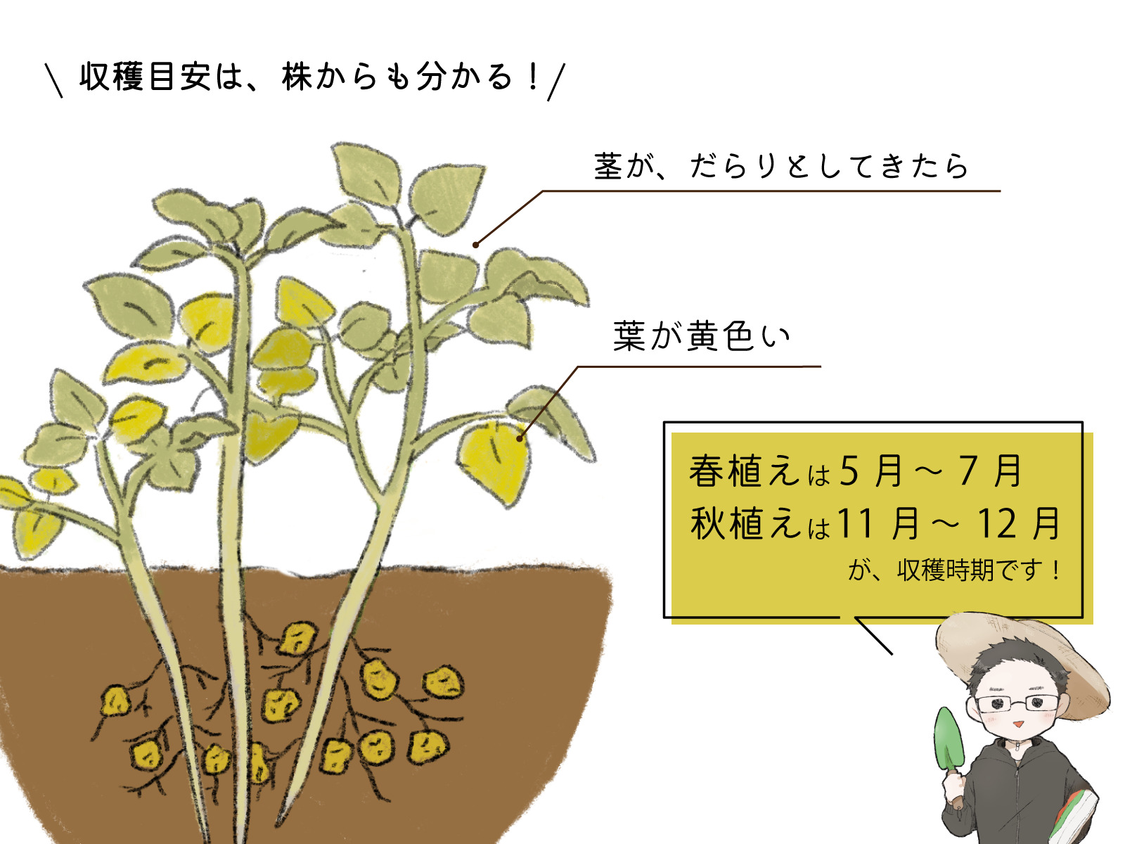 美智子さまと雅子さまの絆と真相｜令和皇室を支える歩みと現在