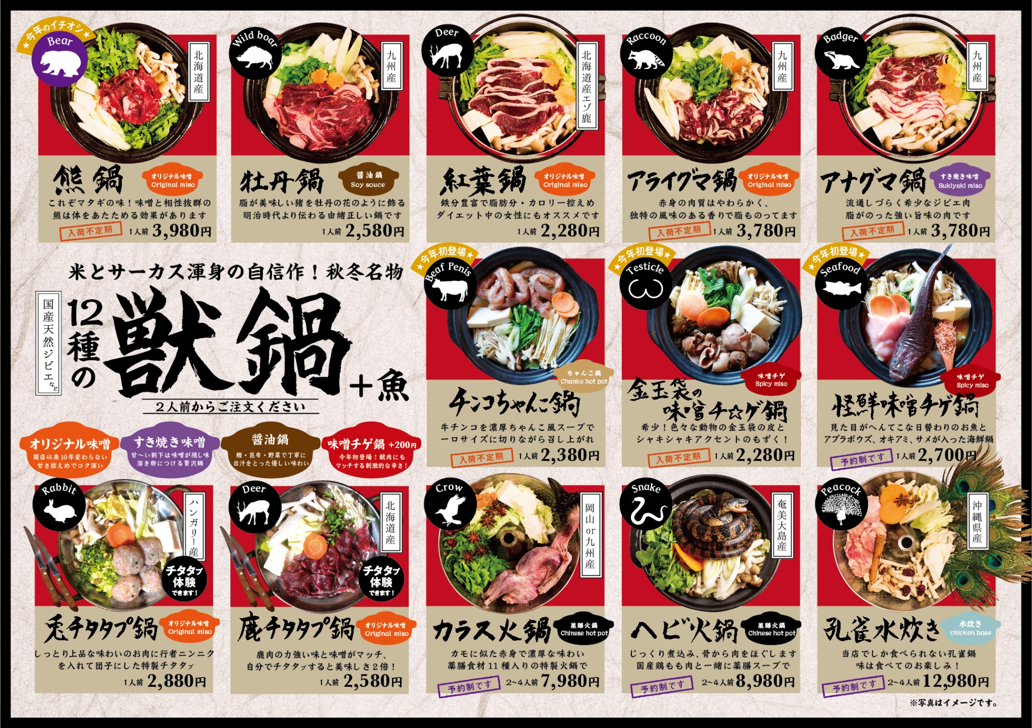米とサーカスの評判と真相！まずい噂や昆虫食ジビエの魅力を徹底解剖