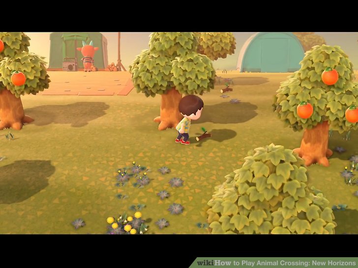 How to Play Animal Crossing New Horizons