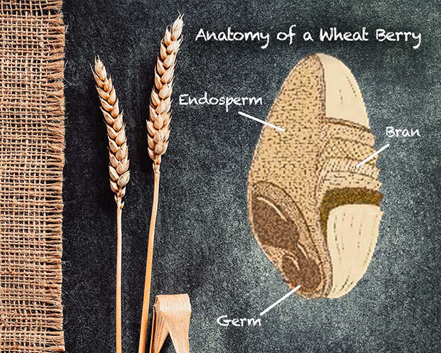 Why Is Wheat Is Candy