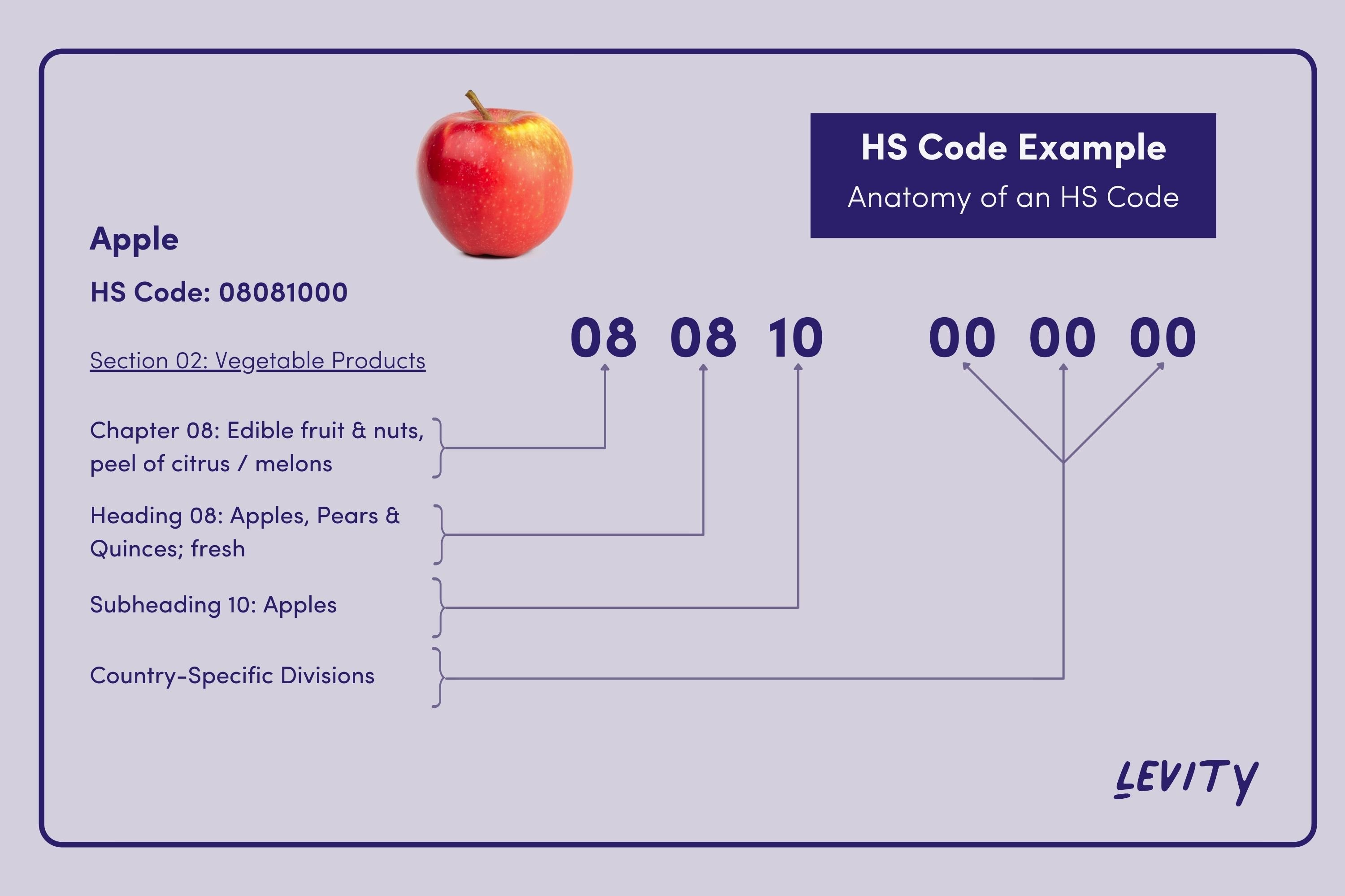 Hs Code Definition