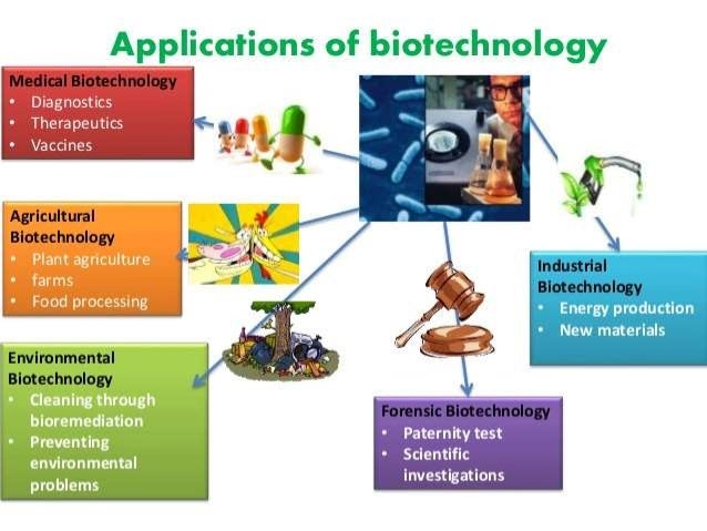 Importance of Biotechnology