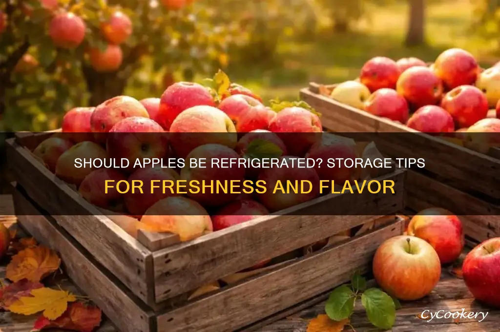 Do You Refrigerate Apples