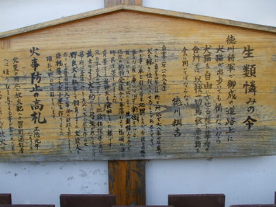 【速報】 生類 憐れみ の 令 話題のバズ動画・画像 #984