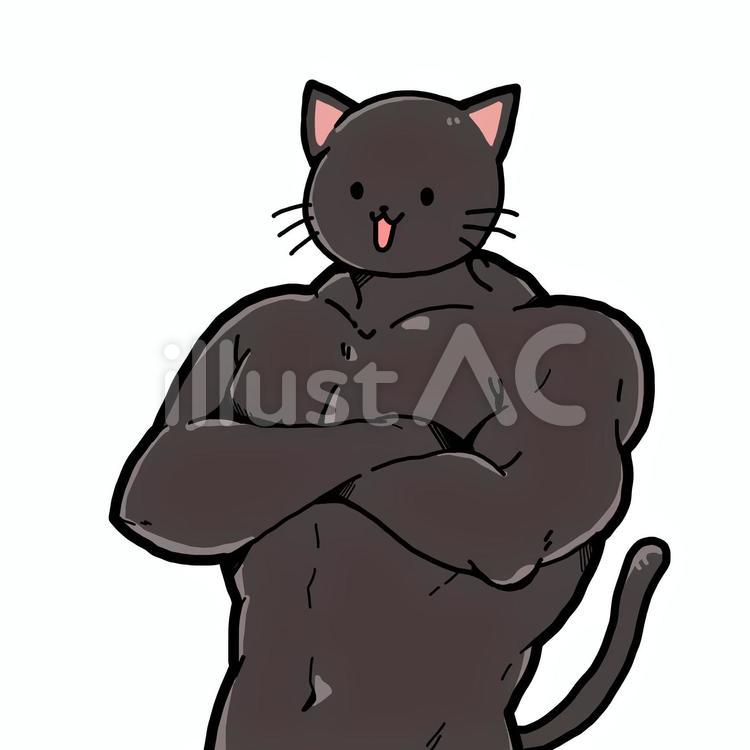 Sns激震の筋肉ムキムキ猫！遺伝子の異変と愛猫に迫る健康リスク