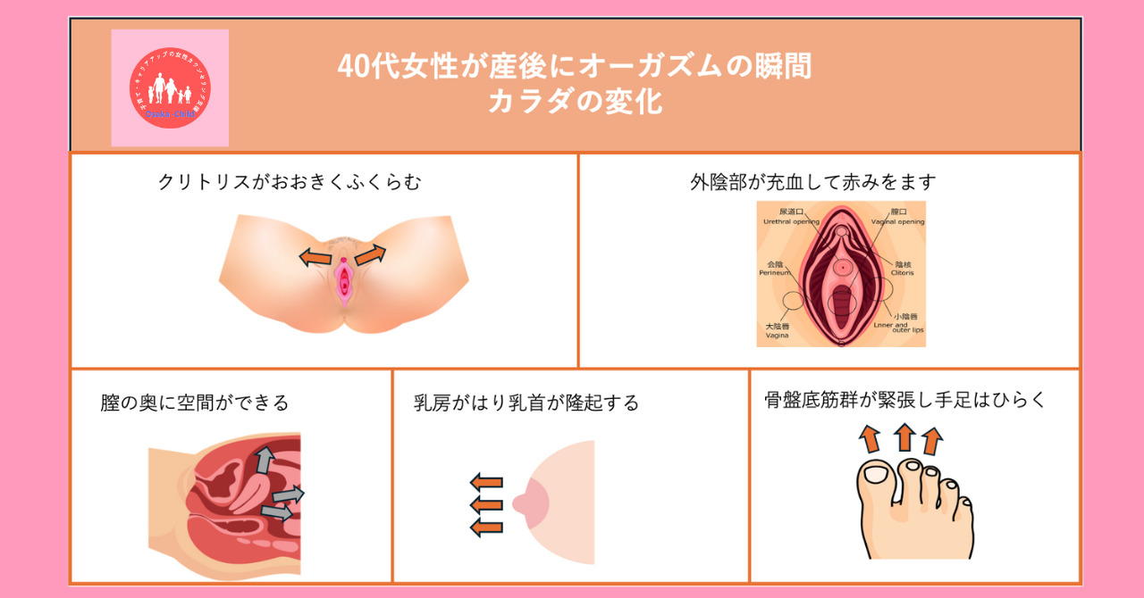 オーガニズムとは何か？生物学の基礎からビジネス組織論まで徹底解剖