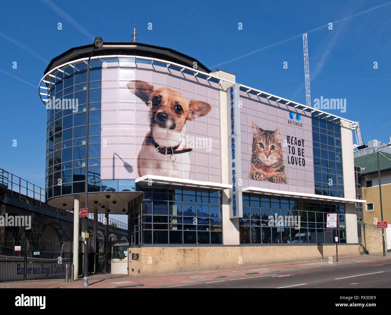 Battersea Dogs and Cats Home London