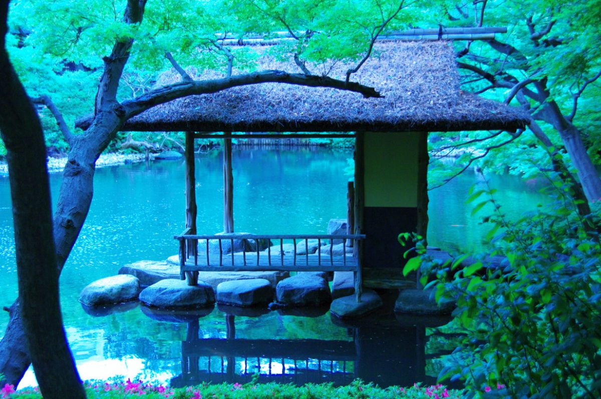 京都の奥座敷に佇む静寂の聖地「青水 庵」が今、世界中の旅人を惹きつける理由【2026年現地取材】