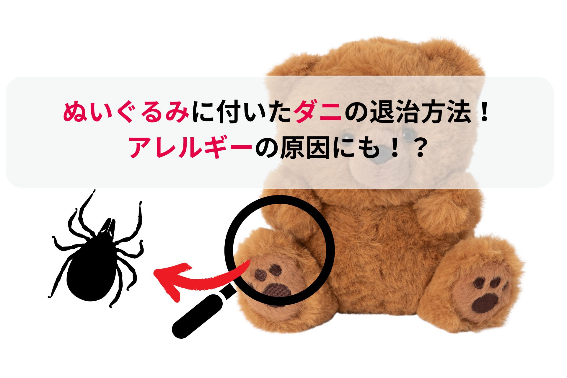 ぬいぐるみのダニは天日干しで死なない？確実に全滅させる最新退治術