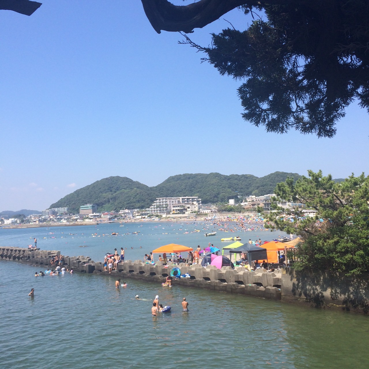 2026年、なぜ今「森戸海岸」が大人たちを惹きつけるのか？富士山を望む絶景と進化する葉山スタイル