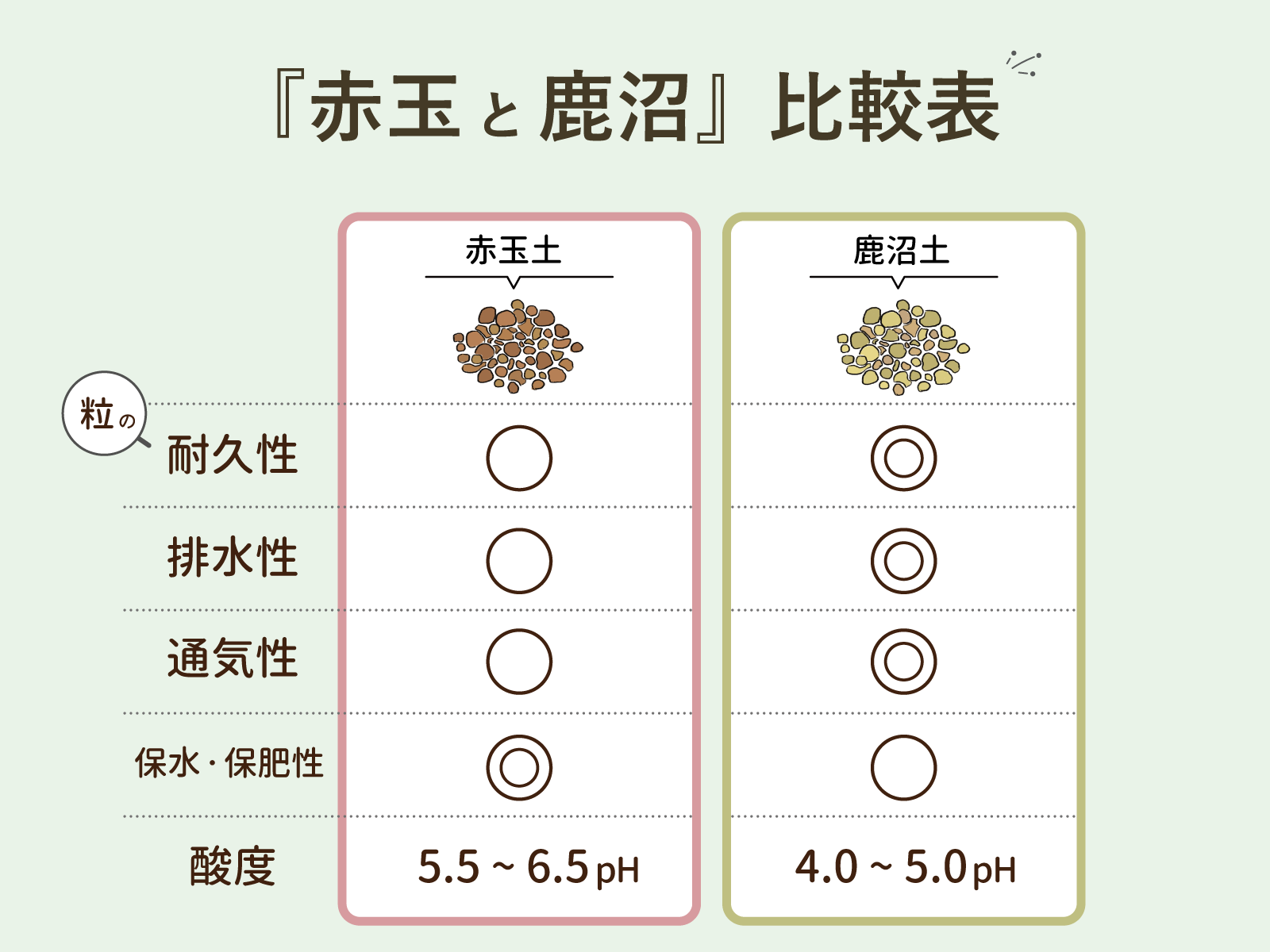 鹿沼土と赤玉土の違いとは？酸性度と保水性の真実と失敗ゼロの使い分け
