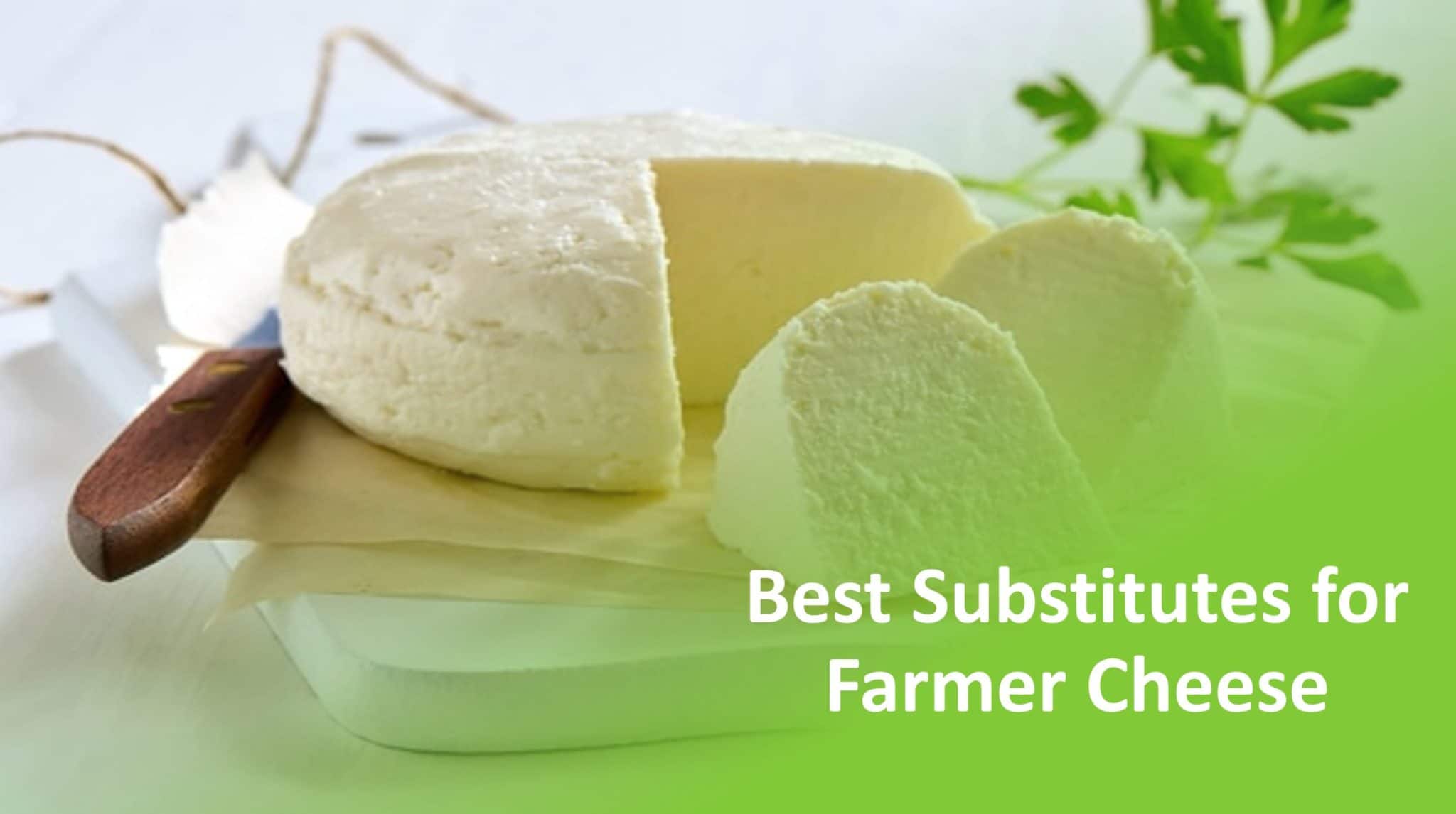 Substitutes for Farmers Cheese