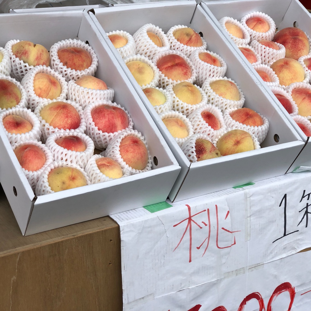 和歌山桃直売所2026完全攻略！あら川の桃を格安で買う極意