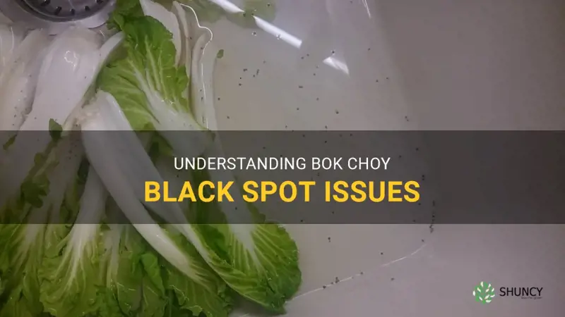 How to Tell If Bok Choy Is Bad