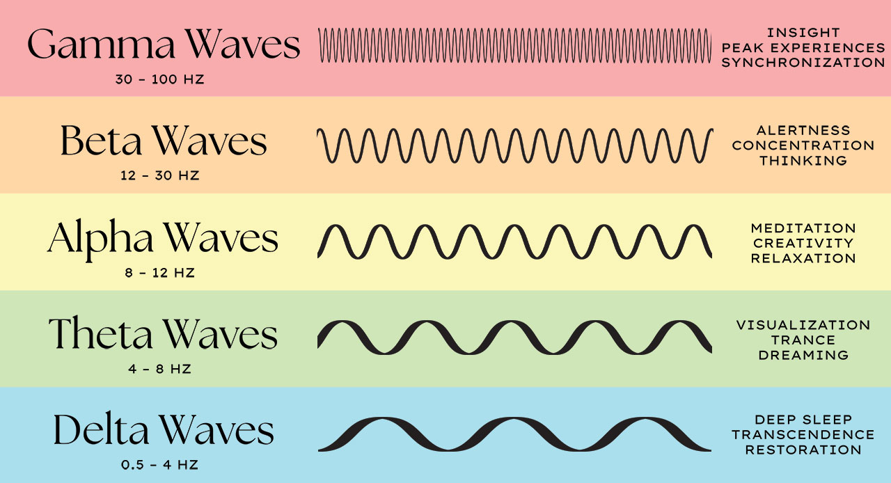 What Are the Different Brain Waves