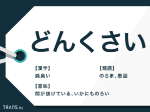 【衝撃】 どん くさい と は 最新写真集＆動画まとめ #618