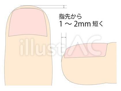 【噂】 爪 の 長 さ ギネス 最新情報まとめ 2026 #706