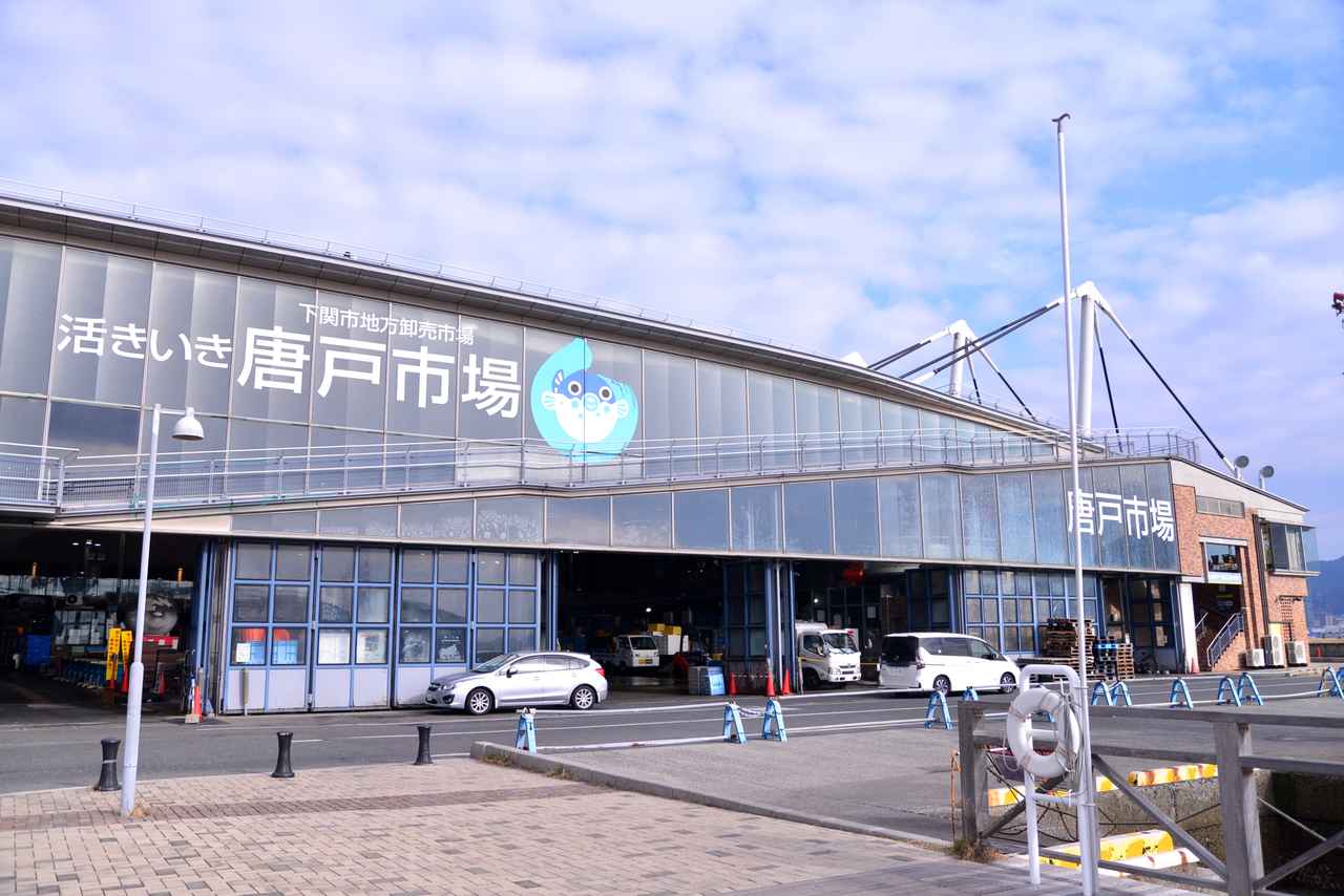 下関・唐戸市場で寿司を極める！馬関街の混雑回避と名物ふぐ完全攻略