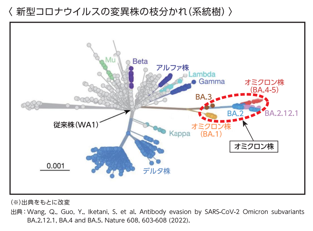 オミクロン無症状の割合は？知らぬ間に感染を広げる理由と最新データ