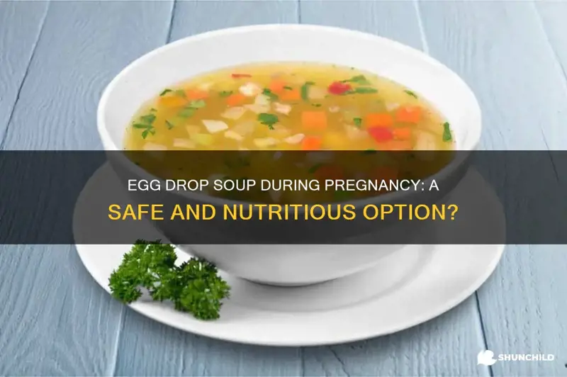 Is Egg Drop Soup Safe for Pregnancy