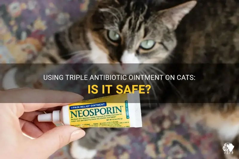 Can I Use Triple Antibiotic Ointment on My Cat