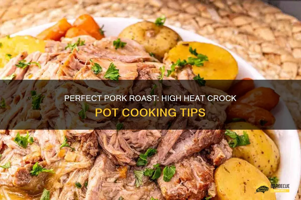 Crock Pot Roast on High or Low