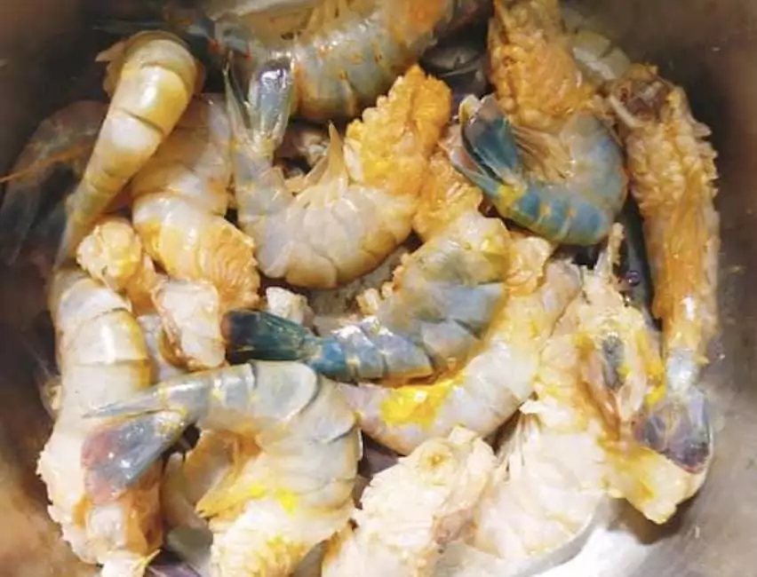 Does Undercooked Shrimp Make You Sick