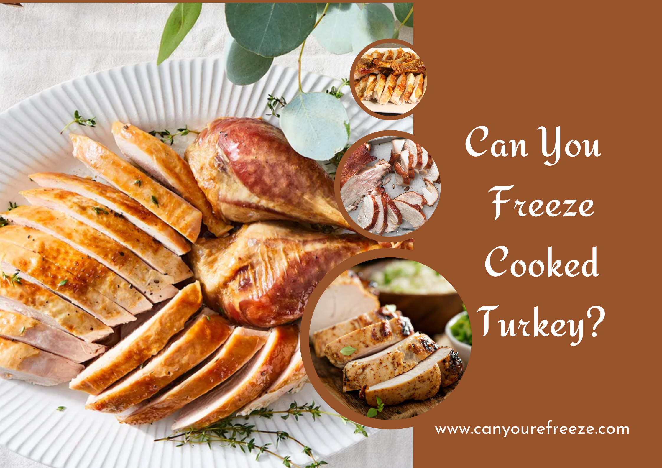 Can a Cooked Turkey Be Frozen