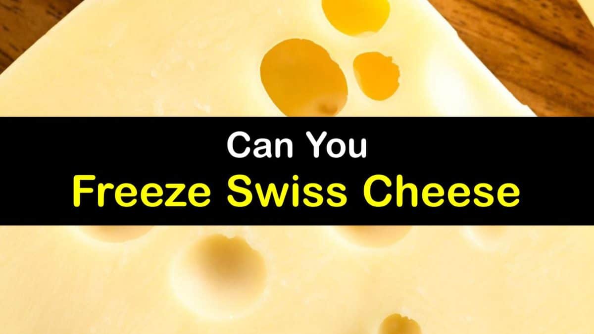 Can Swiss Cheese Be Frozen