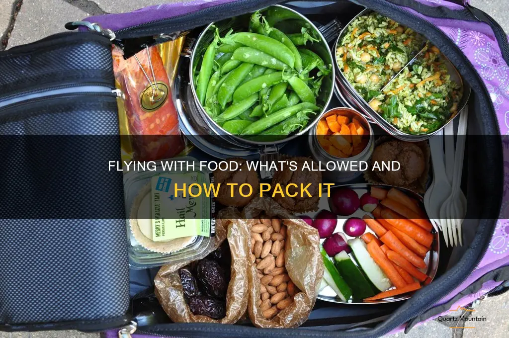 Can You Fly with Food