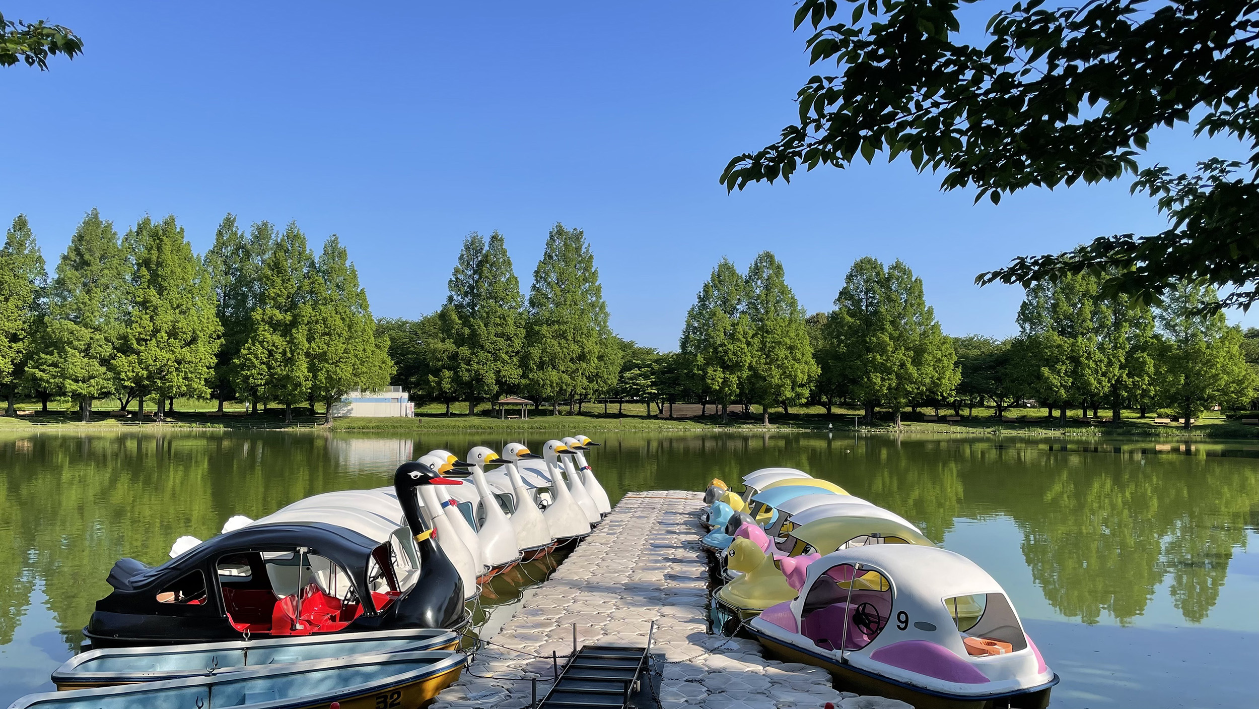 川越水上公園2026最新攻略｜プール予約・混雑回避と駐車場裏技