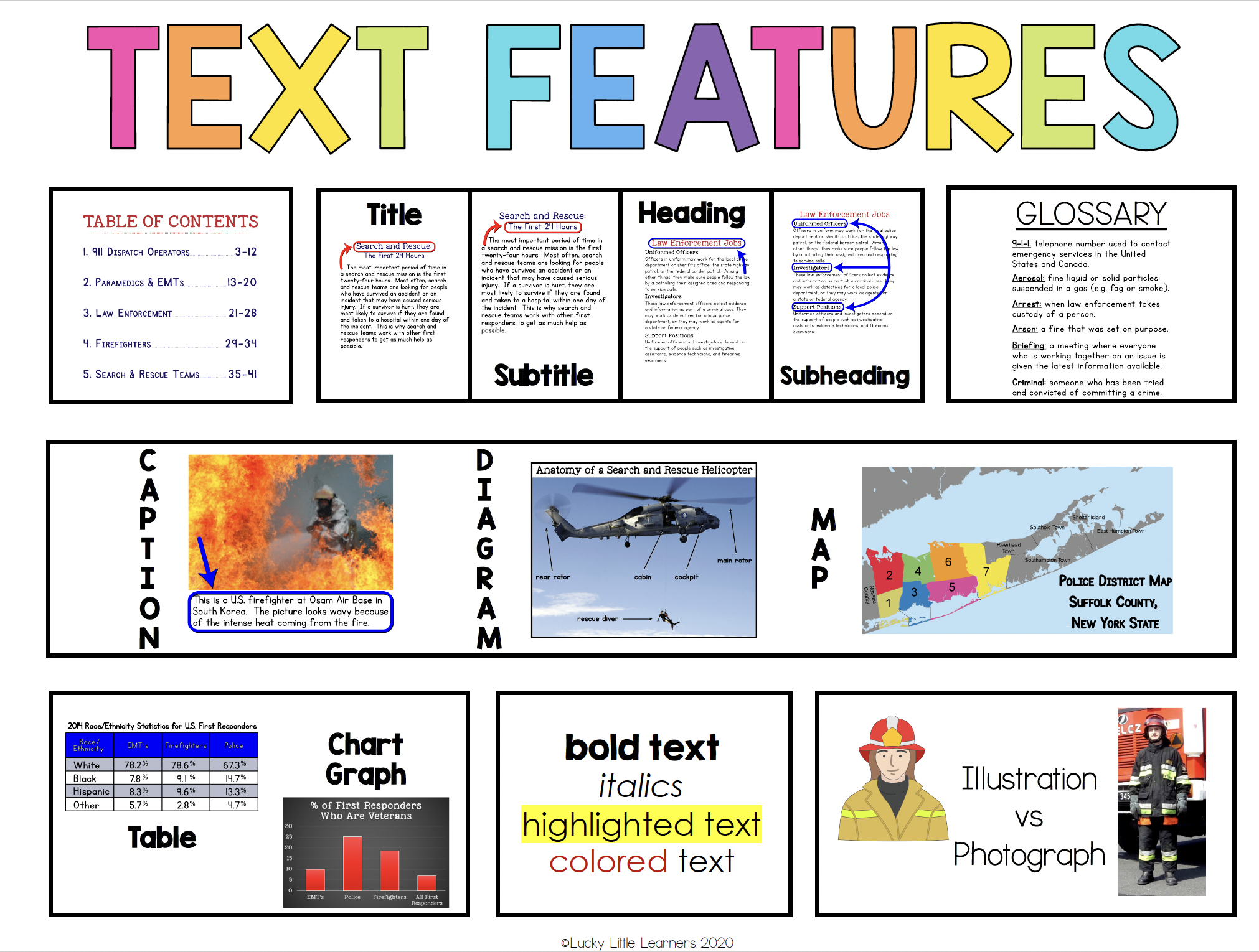Text Features Anchor Chart