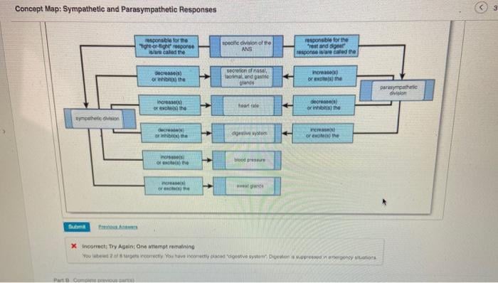 Concept Map Sympathetic and Parasympathetic Responses
