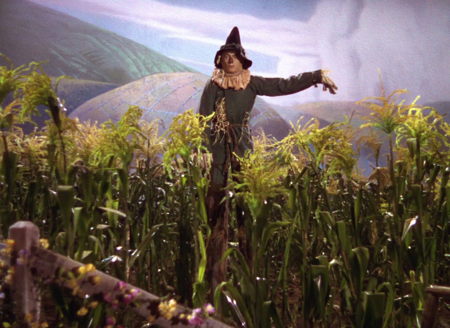 What Does the Scarecrow Want in the Wizard of Oz