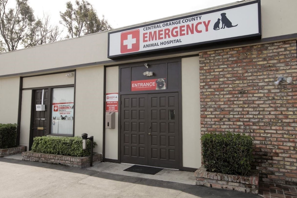 Emergency Pet Hospital Newport Beach
