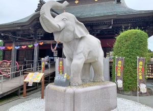 【話題】 吉 ゾウ くん の お寺 長 福寿 寺 最新出演情報まとめ #856