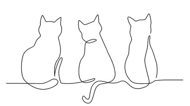 Signature Line Is 3 Cats