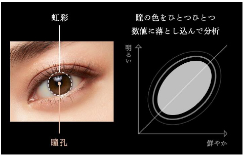 なぜ私たちは「あの人の瞳」に吸い寄せられるのか？2026年に解き明かされた「黒目が大きい人」の科学と、惹きつける力の正体