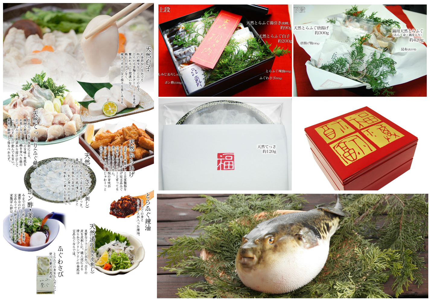 玄品大船の口コミ評判と予約事情！絶品とらふぐコースの全貌を徹底取材